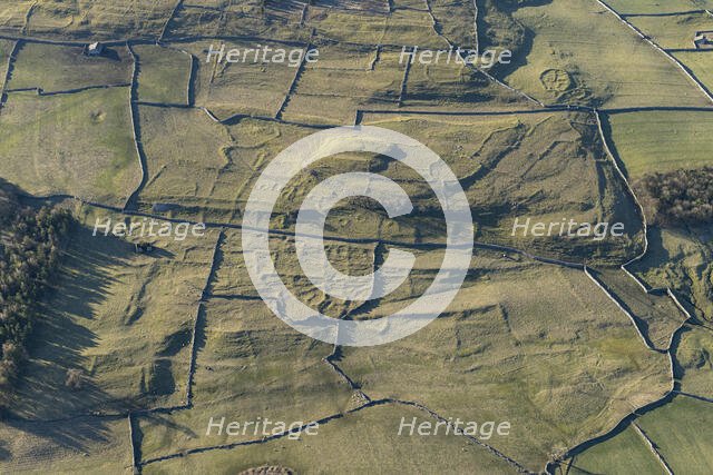 Earthwork remains, Outgang Hill, North Yorkshire, 2024. Creator: Robyn Andrews.