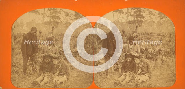 Four African-American boys, c1850-c1930. Creator: Isaac Haas.