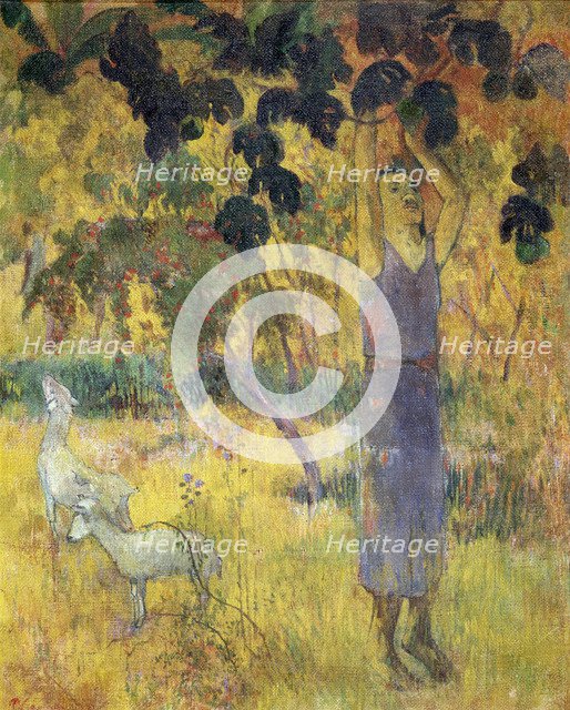 'Man Picking Fruit from a Tree', 1897.  Artist: Paul Gauguin