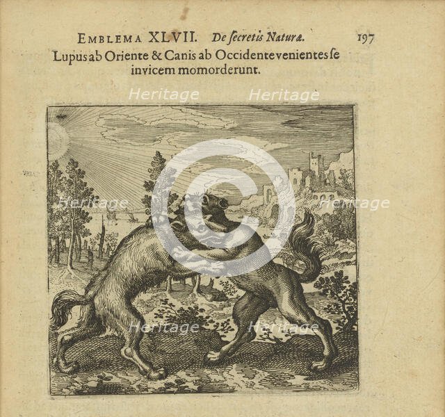 Emblem 47. The wolf coming from the staircase and the dog coming from the staircase have..., 1816. Creator: Merian, Matthäus, the Elder (1593-1650).