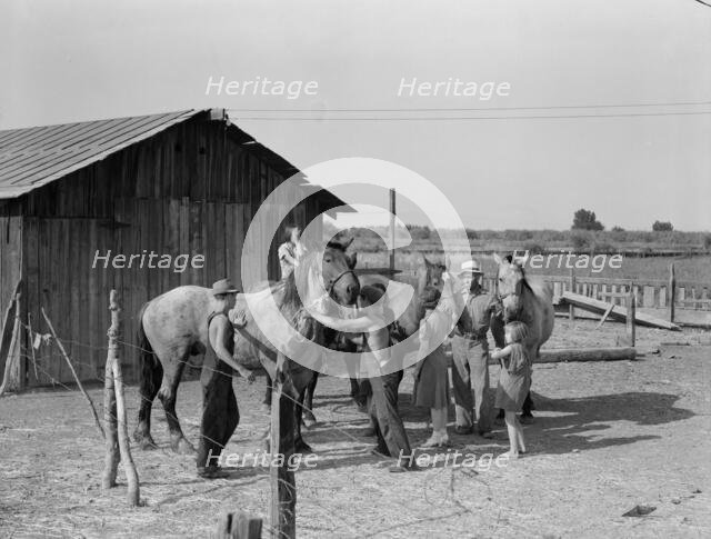 Chris Adolf, his team, and six of his children on their new farm, Washington, Yakima Valley, 1939. Creator: Dorothea Lange.