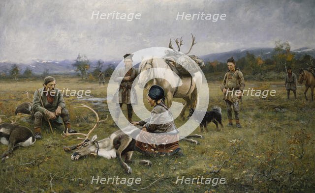 Sami Collecting Reindeer which have Been Shot, 1892. Creator: Johan Tiren.