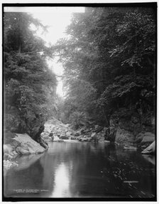 In Clarendon Gorge, Green Mountains, between 1900 and 1906. Creator: Unknown.