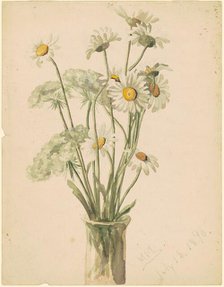 Daisies and Queen Anne's Lace, 1890. Creator: Marietta Minnigerode Andrews.