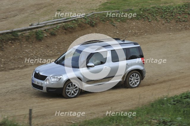 Skoda Yeti 2009. Artist: Simon Clay.