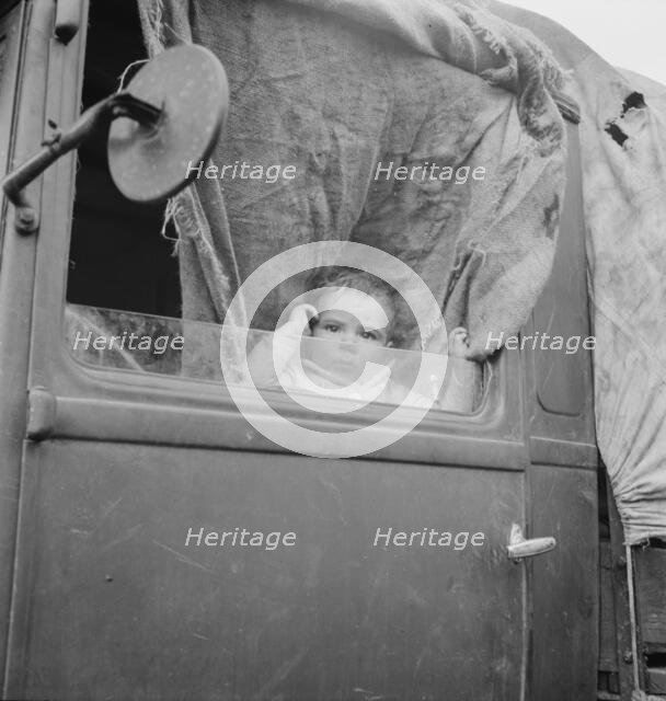 Baby from Mississippi parked in truck at FSA camp, Merrill, Oregon, 1939. Creator: Dorothea Lange.