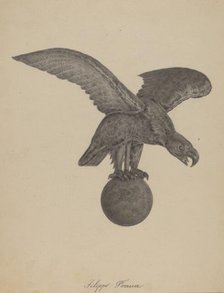 Eagle, 1935/1942. Creator: Filippo Porreca.