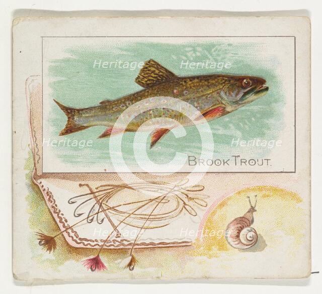 Brook Trout, from Fish from American Waters series (N39) for Allen & Ginter Cigarettes, 1889. Creator: Allen & Ginter.