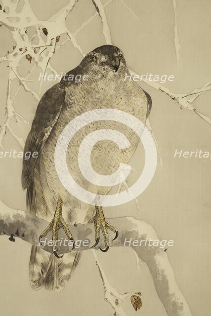 The twelve months: twelfth month, between 1900 and 1918. Creator: Watanabe Seitei.