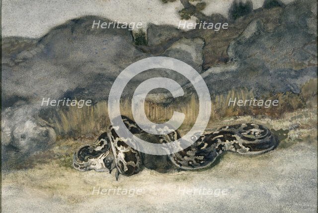 Python Swallowing a Roe-Deer, c1840s. Creator: Antoine-Louis Barye.