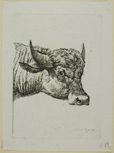 Head of a Buffalo, from Die Zweite Thierfolge, 1800. Creator: Johann Christian Reinhart.
