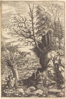 Landscape with a Willow, 1553. Creator: Hans Sebald Lautensack.