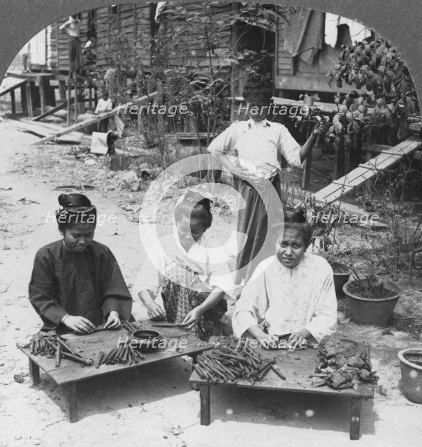Making the huge cigars smoked by women, Burma, 1908. Artist: Stereo Travel Co