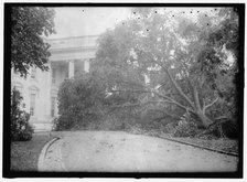 White House - storm damage, between 1913 and 1918. Creator: Harris & Ewing.