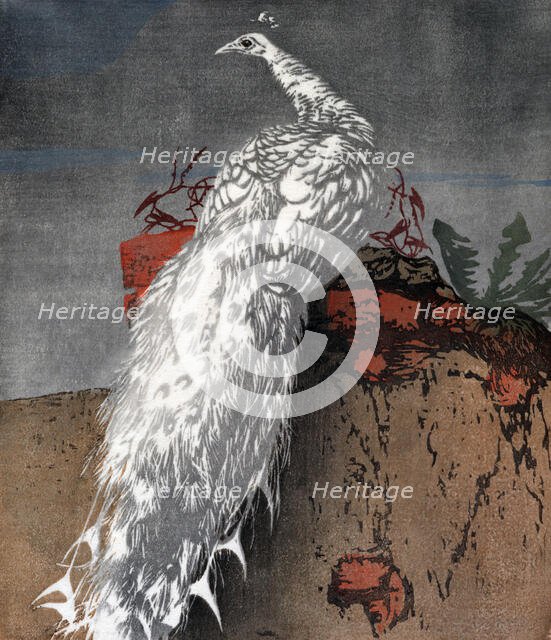 White peacock, 1910. Creator: Hans Frank.