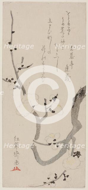 Plum Branch, Japan, late 18th century. Creator: Kitao Shigemasa.