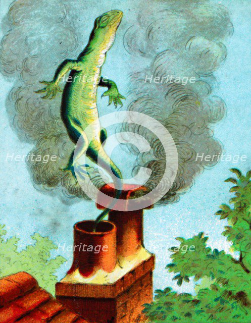 'There goes Bill', c1900.  Artist: Unknown.