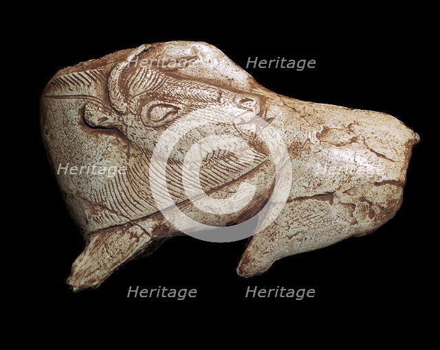 Paleolithic carving of a bison. Artist: Unknown