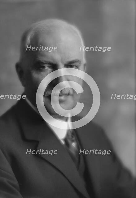 Schimmelfeng, C., Mr., portrait photograph, 1914 Dec. 3. Creator: Arnold Genthe.