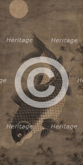 Carp, between 1644 and 1911. Creator: Unknown.