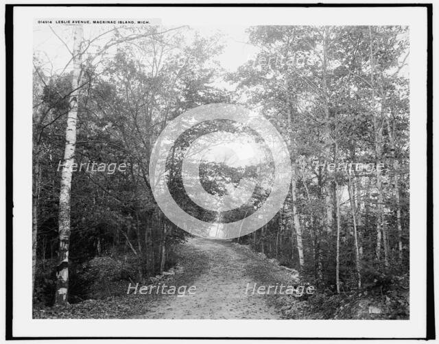 Leslie Avenue, Mackinac Island, Mich., (1902?). Creator: William H. Jackson.