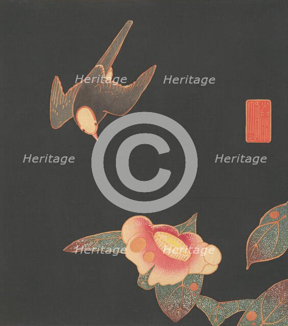 Swallow and Camellia, ca. 1900. Creator: Ito Jakuchu.