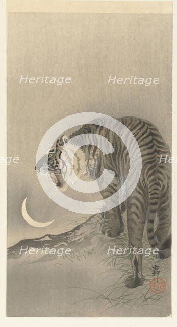 Roaring tiger. Creator: Ohara, Koson (1877-1945).