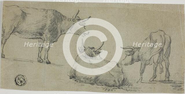 Three Sketches of Cows, n.d. Creator: Unknown.