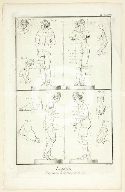 Design: Proportions of the Medici Venus, from Encyclopédie, 1762/77. Creator: Benoit-Louis Prevost.