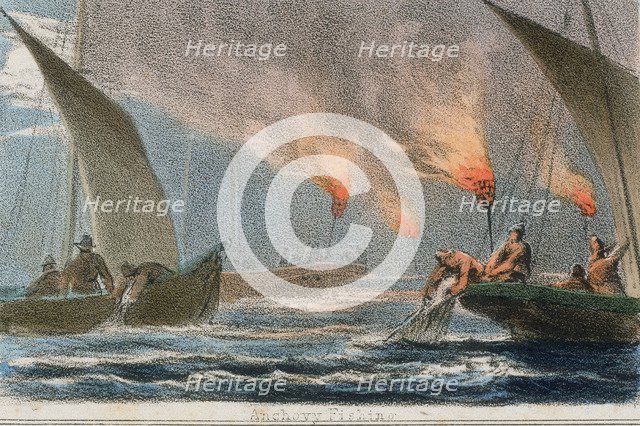 'Anchovy Fishing', c1845. Artist: Benjamin Waterhouse Hawkins