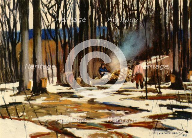 'The Sugar Bush: Quebec Province', 1941. Creator: Frank Hennessey.
