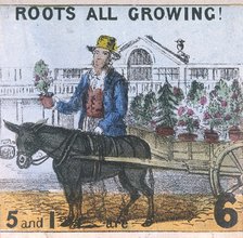'Roots all Growing!', Cries of London, c1840. Artist: TH Jones