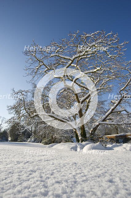 Eltham Palace, Court Yard, Eltham, Greenwich, London, 2009. Creator: Derek Kendall.