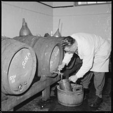 Man drawing a sample of beer from a barrel, Burton upon Trent, Staffordshire, 1965-1968. Creator: Eileen Deste.