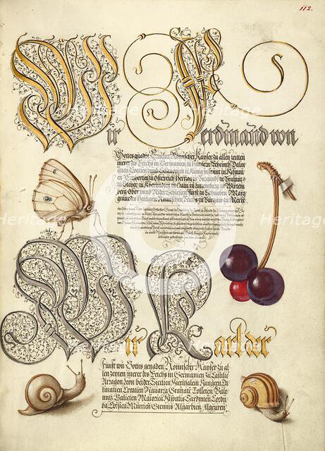 Butterfly, Sweet Cherry, and Land Snails, 1561-1562; illumination added 1591-1596. Creator: Joris Hoefnagel.