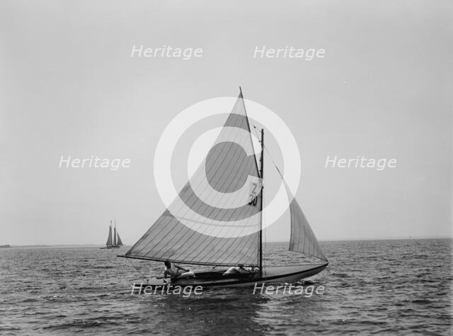 Nit, 1896 June 22. Creator: John S Johnston.