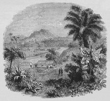 'View in Cayenne', c1880. Artist: Unknown.