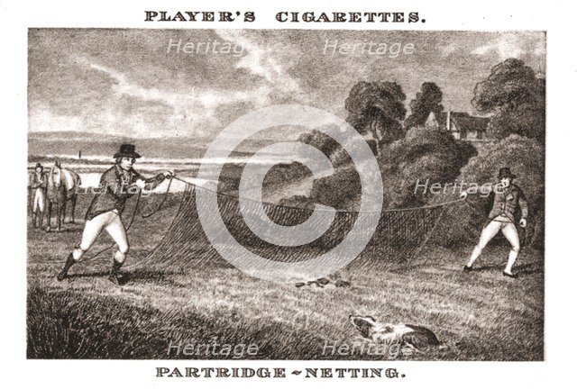 'Partridge-Netting', (1924). Creator: Unknown.