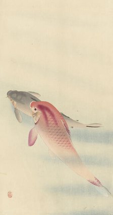 Two carp. Creator: Ohara, Koson (1877-1945).