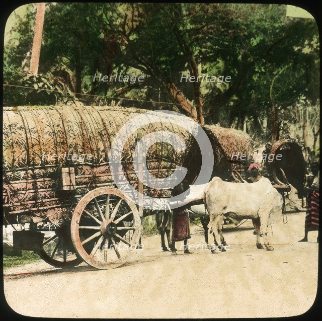 Native bullock cart, Ceylon, late 19th or early 20th century. Artist: Unknown