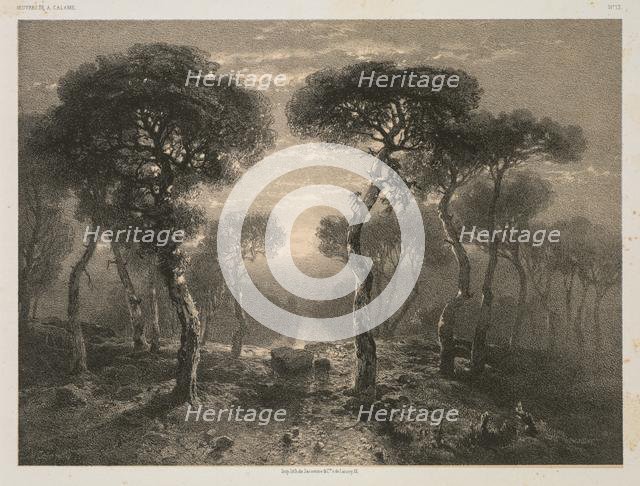 Oeuvres de A. Calame, No. 13: Forêt de Sierre en Valais, 1843 (published 1851). Creator: Jacomme & Cie. R. de Lancry, 12, Paris; Alexandre Calame (Swiss, 1810-1864); F. Delarue, r. J.J. Rouseau, 10, Paris.