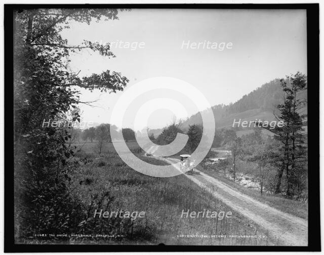 The Drive, Poagshole, Dansville, N.Y., c1900. Creator: Unknown.