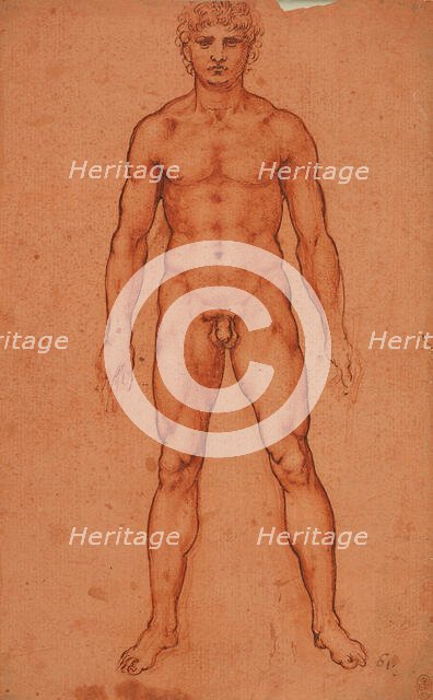 Standing male nude, 1503-1506. Creator: Leonardo da Vinci (1452-1519).