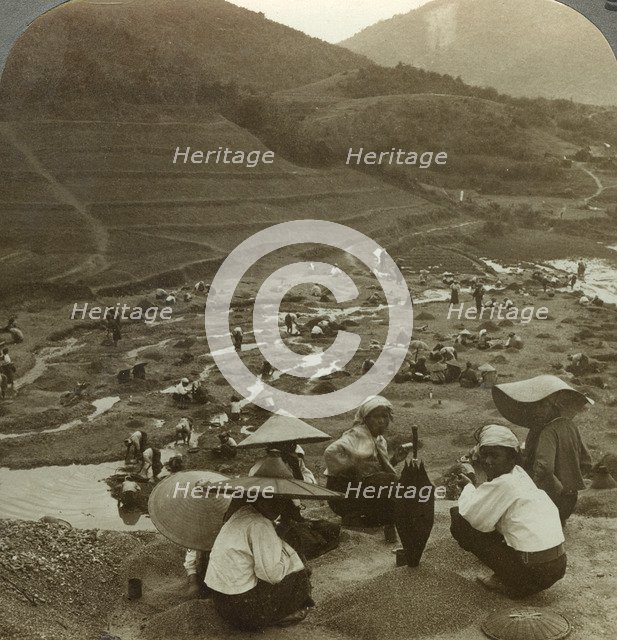 Dredging a river bed for rubies, Mogok, Burma, c1900s(?).Artist: Underwood & Underwood