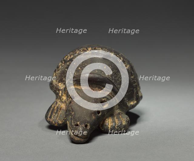 Armadillo, before 1921. Creator: Unknown.