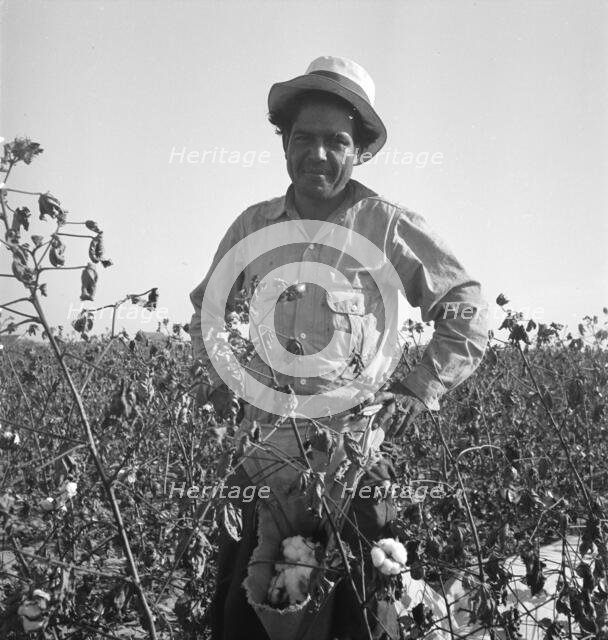 Cotton picker, San Joaquin Valley, California, 1936. Creator: Dorothea Lange.