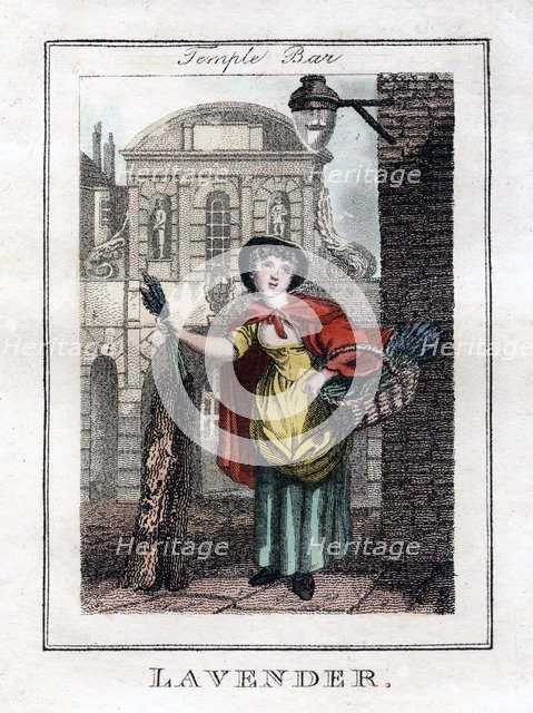 'Lavender', Temple Bar, London, 1805. Artist: Unknown