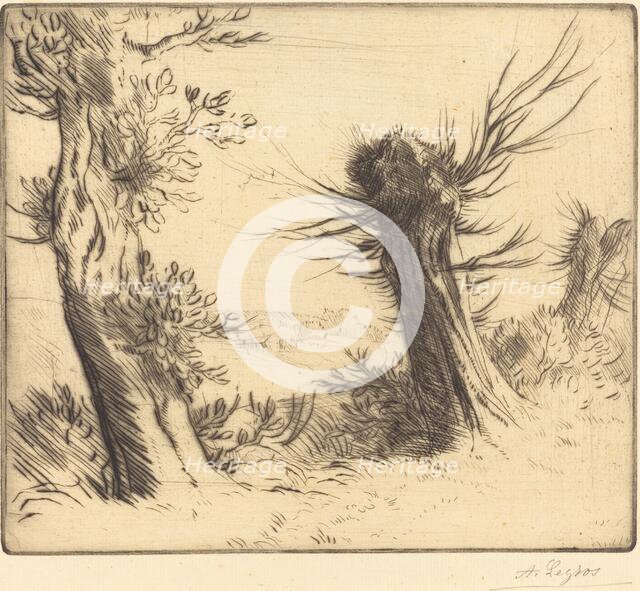 Willows (Les saules). Creator: Alphonse Legros.