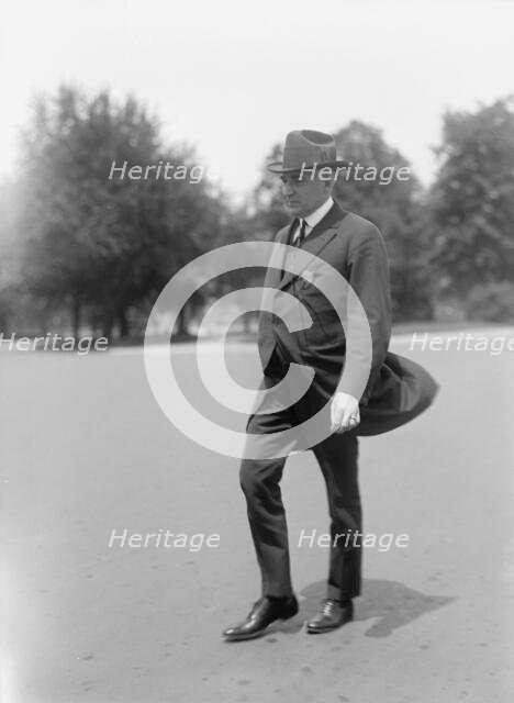 Harding, Warren Gamaliel, Senator from Ohio, 1915-1921, President of The U.S., 1921-1923, 1917. Creator: Harris & Ewing.