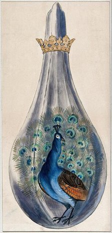 A peacock in a crowned alchemical flask; representing the stage in the alchemical..., 1900-1909. Creator: Edith Annie Ibbs.